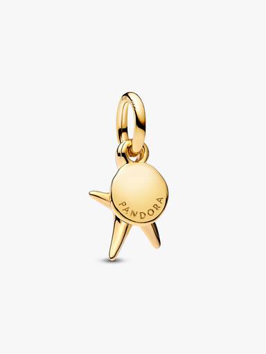 Dvojitý visiaci prívesok s morskou hviezdicou