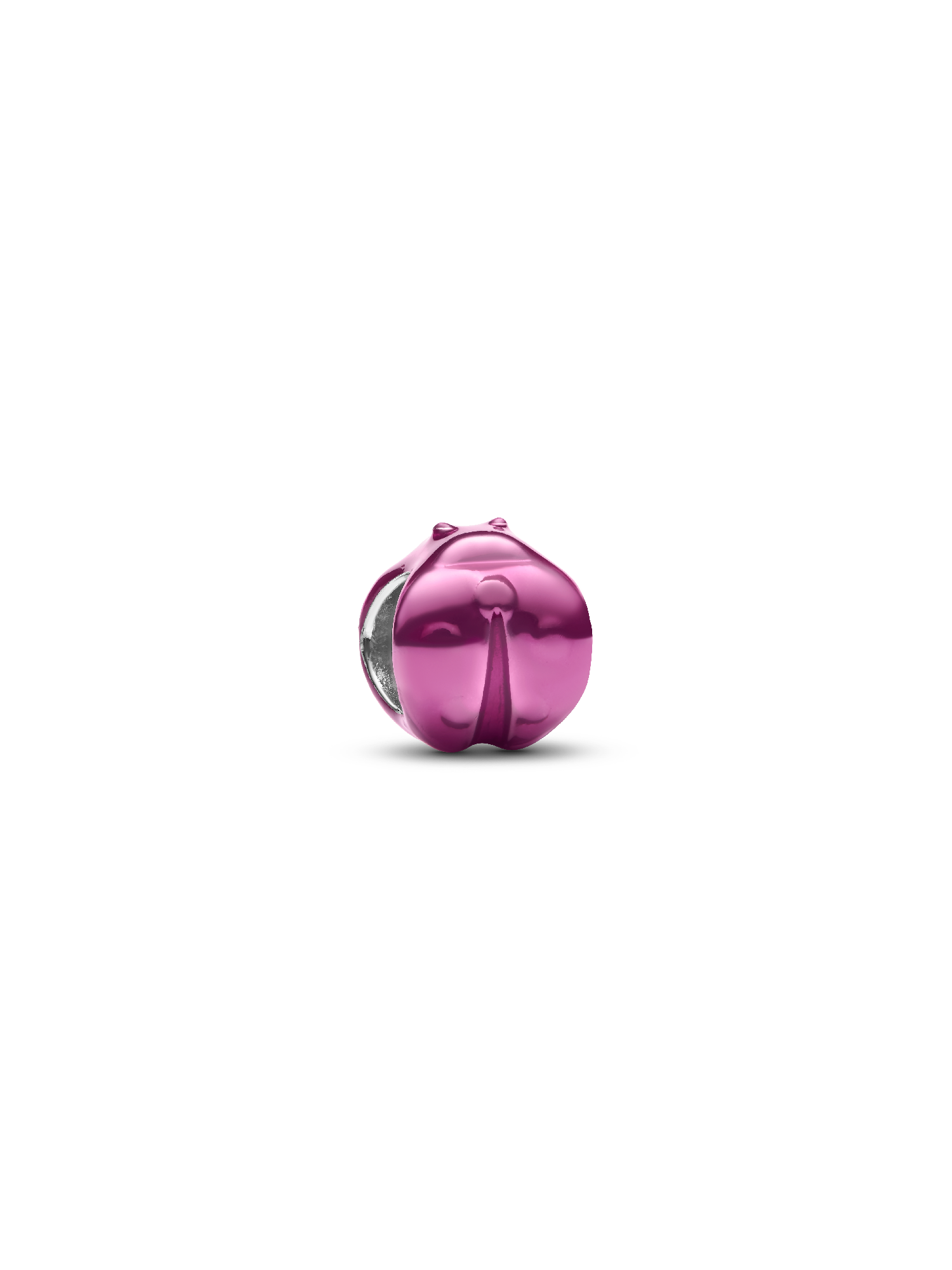 Mini prívesok Ružová lienka